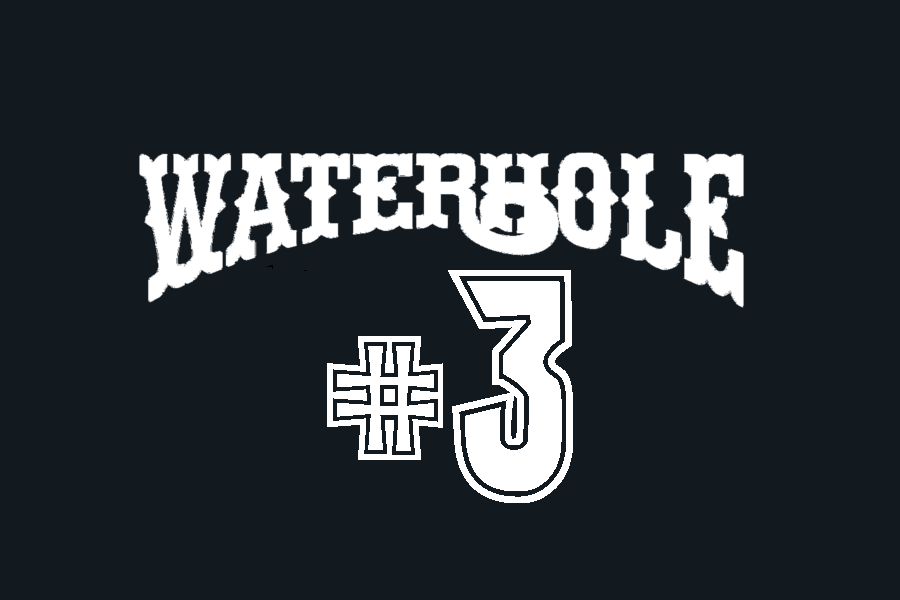 waterhole3